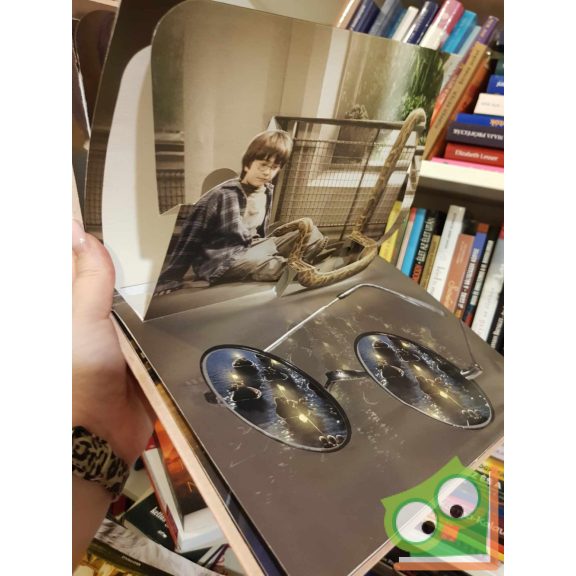 Harry Potter - Pop-up 3D-s könyv