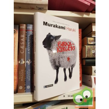 Murakami Haruki: Birkakergető nagy kaland (Patkány 3.)