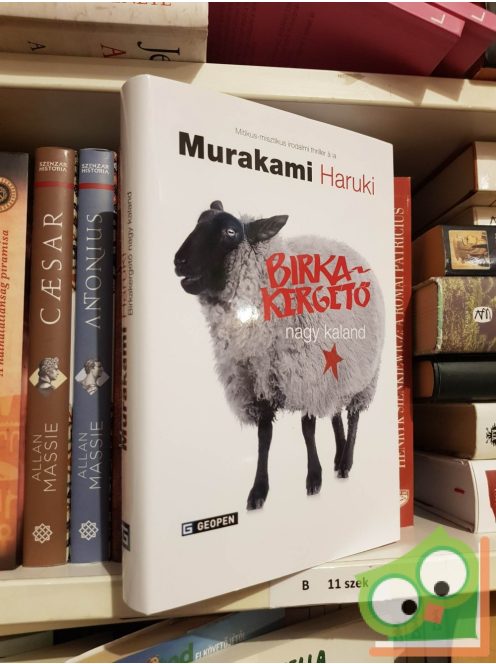 Murakami Haruki: Birkakergető nagy kaland (Patkány 3.)
