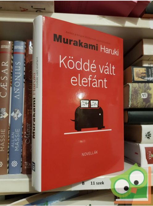 Murakami Haruki: Köddé vált elefánt