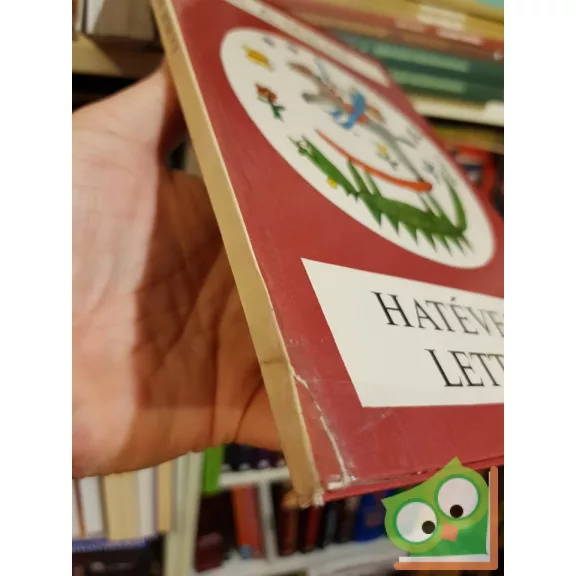 Alan Alexander Milne: Hatévesek lettünk (Micimackó)