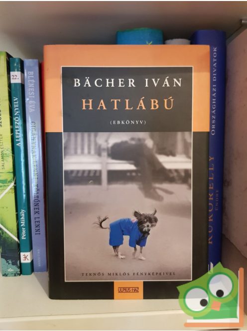 Bächer Iván: Hatlábú