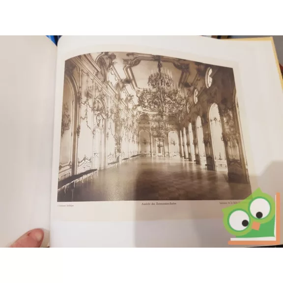 Hauszmann Alajos: A magyar királyi vár