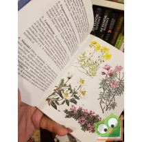 Kósa Géza: Havasi virágok (Búvár zsebkönyvek)