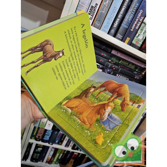 Judith Borchert: Háziállatok (kirakóskönyv)