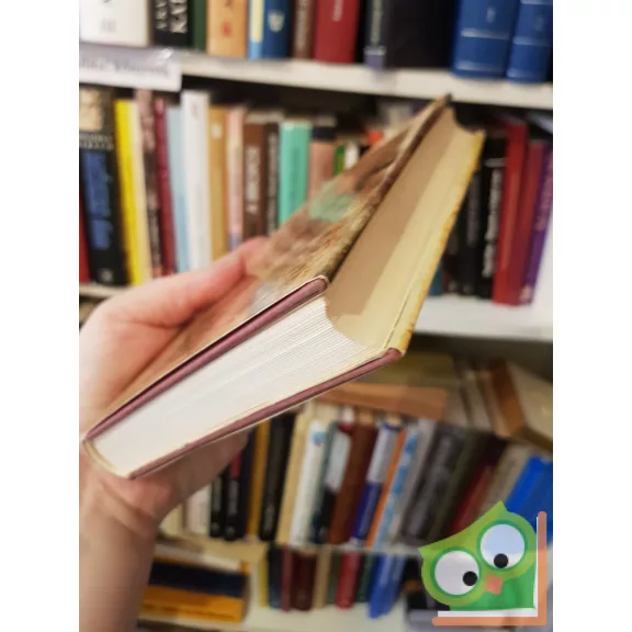 Scheiber Sándor: Héber kódexmaradványok magyarországi kötéstáblákban