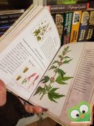 Carmen San José: Herbárium - Gyógyító növények (Ritka)