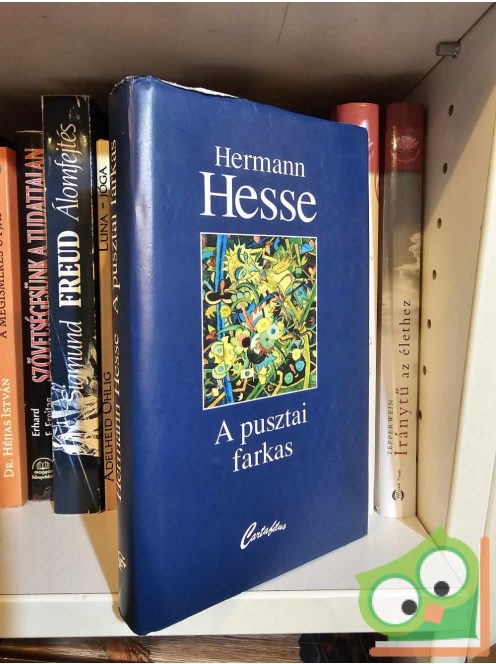 Hermann Hesse: a pusztai farkas