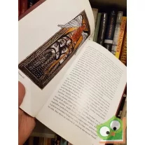 Gottfried, Theoderich: Bingeni Hildegárd élete