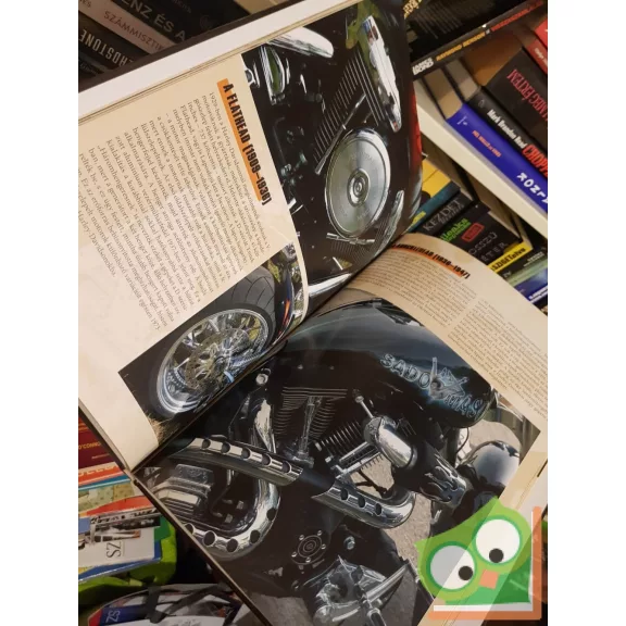 Pál Csaba - C. Kiss Ilona: Hírnév és dicsőség