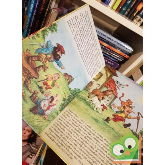 Ivánovicsné Halász Mária: Hófehérke és a hét törpe és más mesék