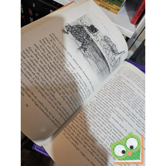 Varga Tamásné (szerk.): A Hollókirály és más mesék