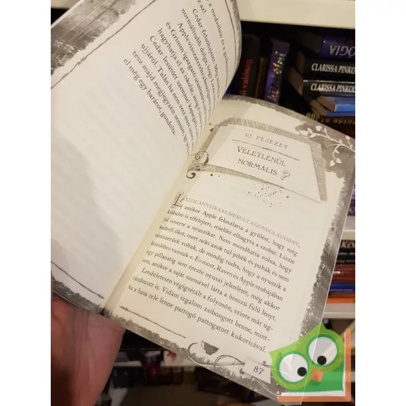 Shannon Hale: Holnemvolt Csodaország (Ever After High 3.)