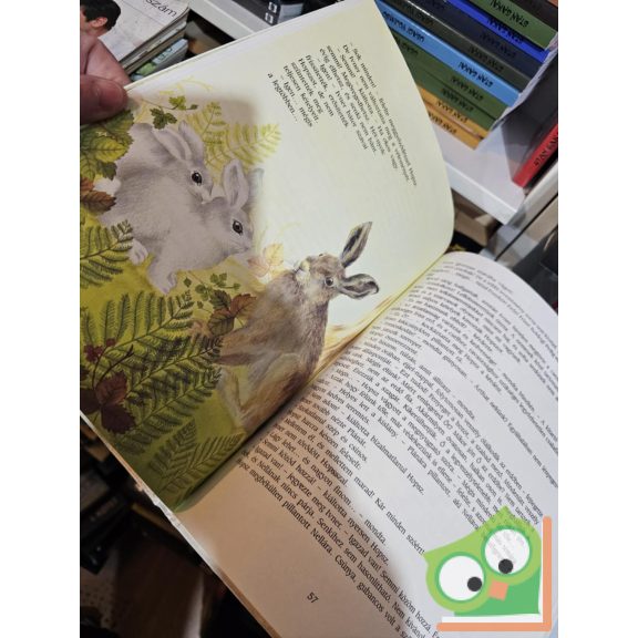 Felix Salten: Hopsz és társa