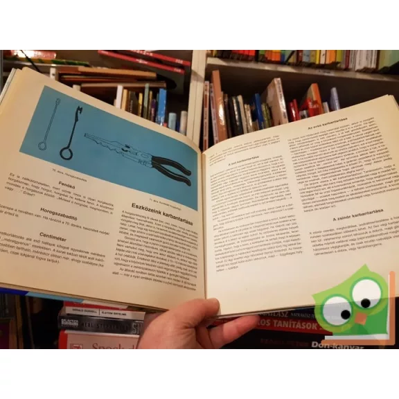 Nyerges Béla: Horgászatról gyerekeknek