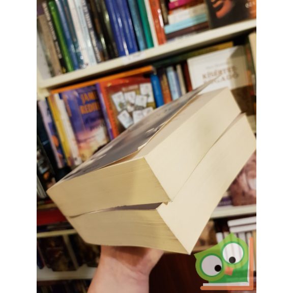 Dan Simmons: Hyperion, Hyperion bukása