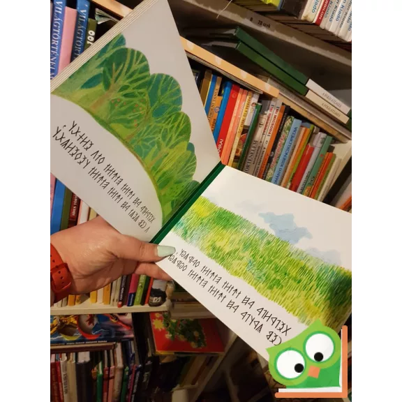 Móricz Zsigmond - Marsai Ágnes: Iciri-piciri (Rovásírással is)