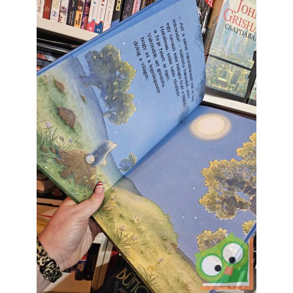 Jonathan Emmett - Vanessa Cabban: Ide nekem a Holdat! (Vakondok és barátai 1.) (nagyon ritka)