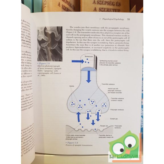 Grusec, Lockhart, Walters: Foundations of psychology