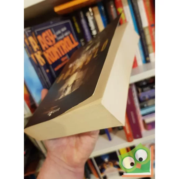 Wesley Chu: Időrabló (Időrabló 1.)