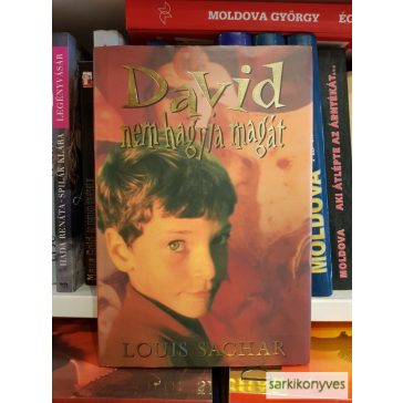 Louis Sachar: David nem hagyja magát