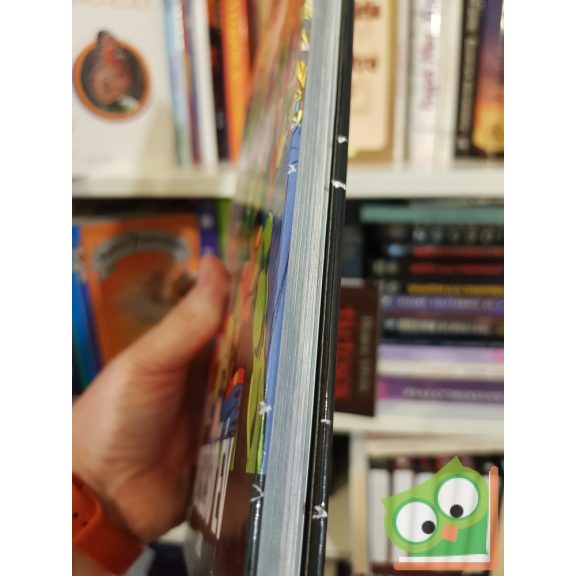 Mark Waid, Brian Augustyn: Az Igazság Ligája: Az első év  2.rész (DC 8.kötet)