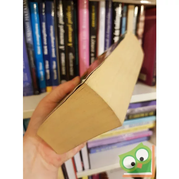 Robert Ludlum: Ikarusz hadművelet