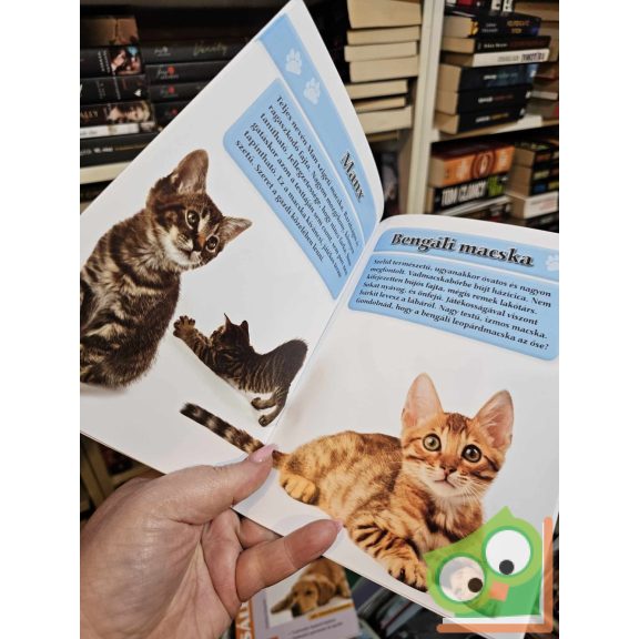 Krajnik Bíró Sára: Imádnivaló cicák (újszerű)