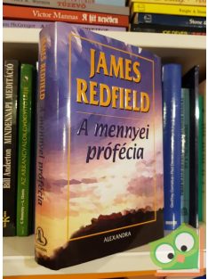 James Redfield: A mennyei prófécia (Mennyei prófécia 1.)