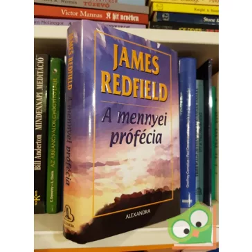 James Redfield: A mennyei prófécia (Mennyei prófécia 1.)