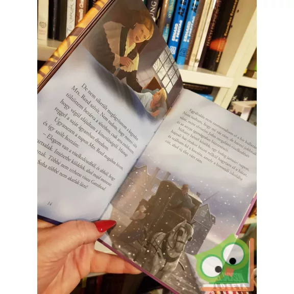 Charlotte Brontë - Sara Torrico: Jane Eyre (Olvass velünk! 4.szint)