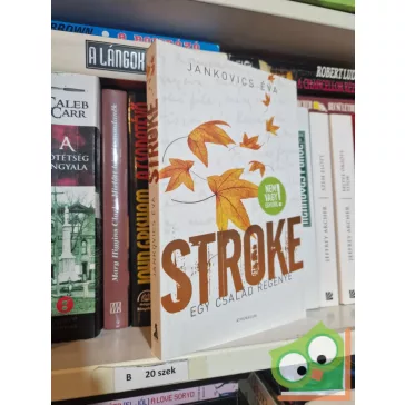 Jankovics Éva: Stroke egy család regénye