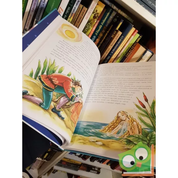 Benedek Elek: Jégország királya