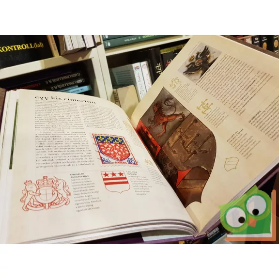 David Fontana: A jelek és szimbólumok titokzatos világa  (Nagyon ritka!)