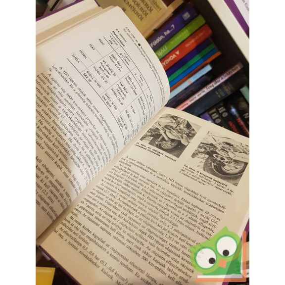 Wiesław Jeżewski: Volkswagen (Hogyan tovább?)