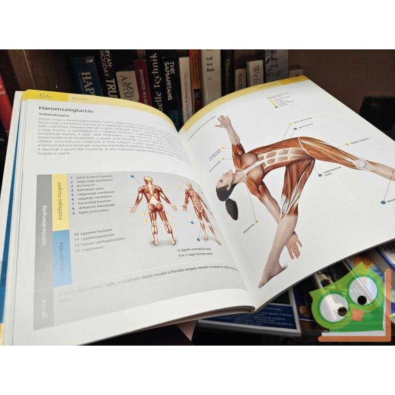 Sally Parkes: A jógaanatómia kézikönyve