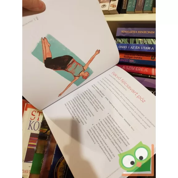 Jasmine Tarkeshi: Jóga a testnek és a léleknek kézikönyv