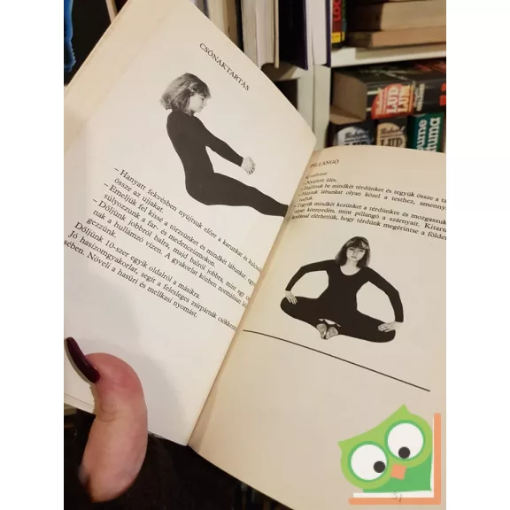 Paramhansa Swami Maheshwarananda: Jóga