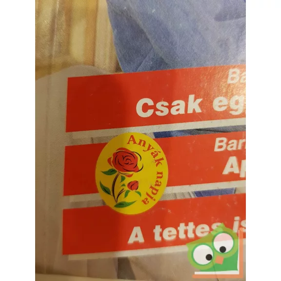 Júlia különszám 2004/2