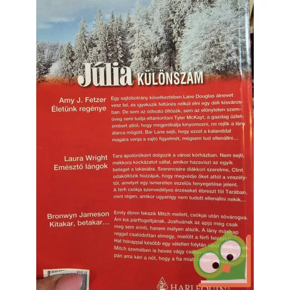Júlia különszám 2006/18