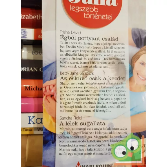 Júlia legszebb történetei 19. kötet 2015