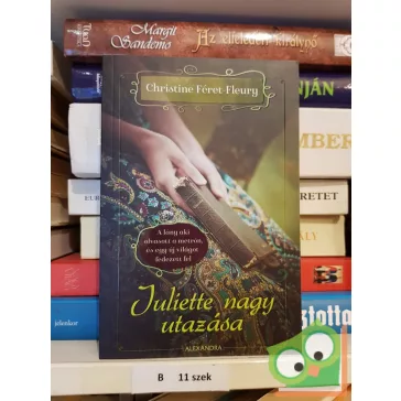 Christine Féret-Fleury: Juliette nagy utazása