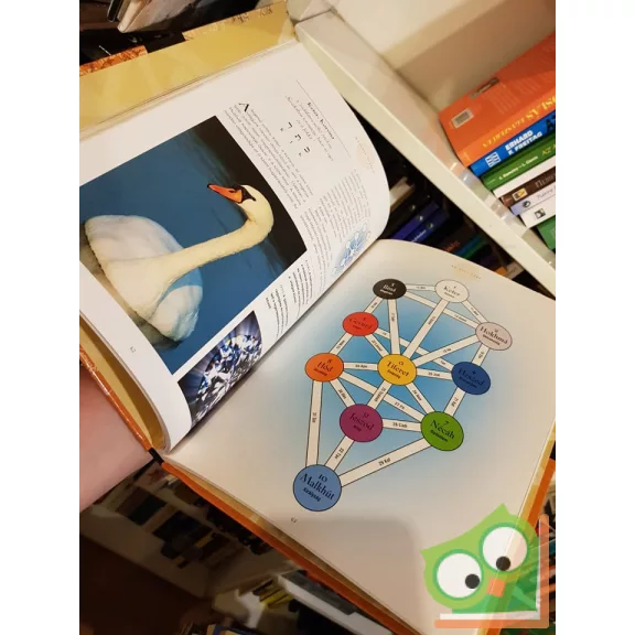 Tim Dedopulos: Kabbala – A zsidó miszticizmus titkos tanainak kézikönyve