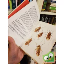   Vásárhelyi Tamás: Kabócák, bodobácsok (Búvár zsebkönyvek)