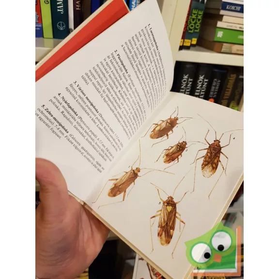 Vásárhelyi Tamás: Kabócák, bodobácsok (Búvár zsebkönyvek)