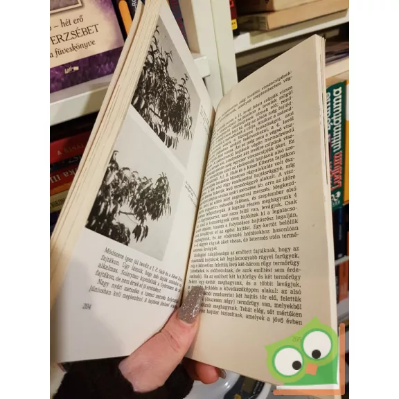 T. Malík G. Cejka: Kajszibarack és őszibarack (Ritka)