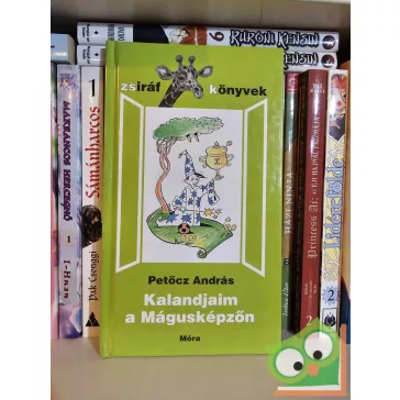 Petőcz András: Kalandjaim a mágusképzőn