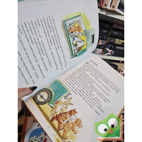 Karin Salmson: Kalandok a búcsúban (Illusztrálta: Tony Wolf)