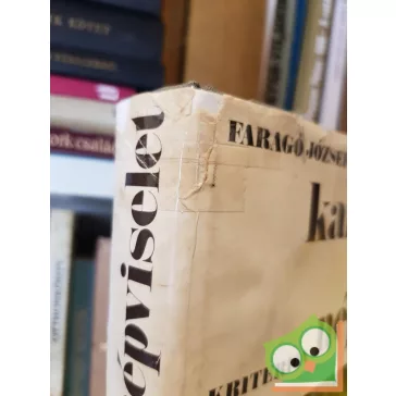   Faragó József, Nagy Jenő, Vámszer Géza: Kalotaszegi magyar népviselet: 1949–1950