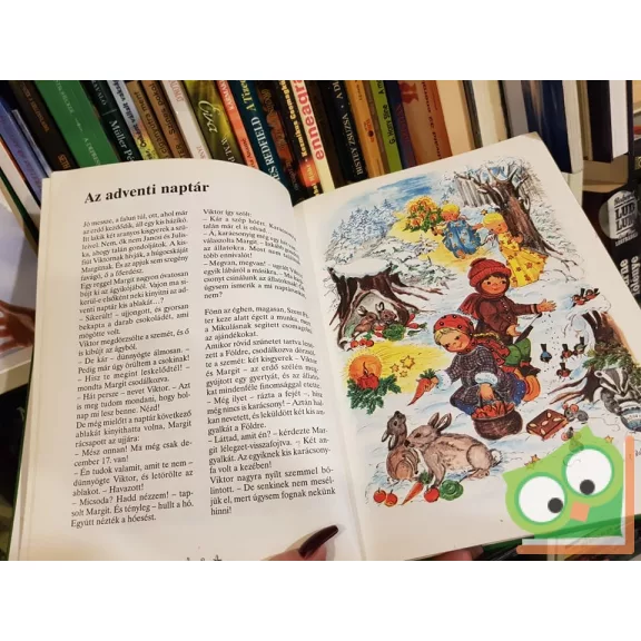 Marc Heinrich: Karácsony ( Helga R. Rossmeisl illusztrációival)